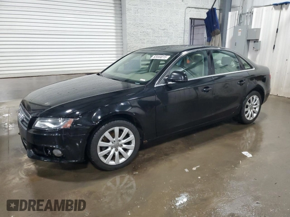 2009 Audi A4 Premium Plus with VIN WAUSF78K39A145608, listed as a Copart auction lot 53444015 with 155,982 mi miles and Salvage title. Bid and sale history available at DreamBid. Image 1.