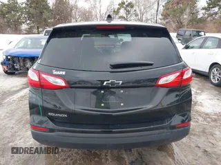 2019 Chevrolet Equinox LS with VIN 2GNAXHEV5K6117738, listed as a IAAI auction lot 41325894 with 102,821 mi miles and . Bid and sale history available at DreamBid. Image 17.