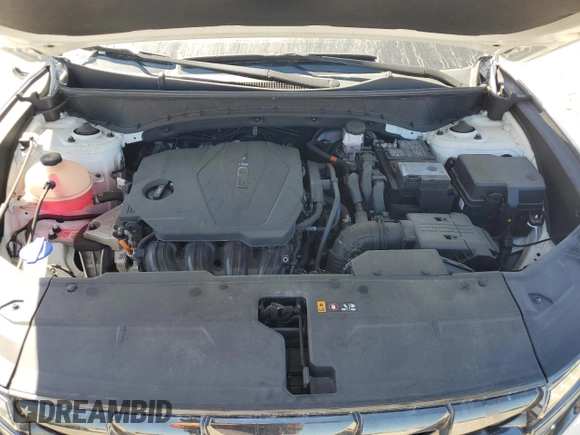 2023 Hyundai Tucson Limited with VIN 5NMJECAE2PH249024, listed as a Copart auction lot 49394595 with 43,451 mi miles and Salvage Title. Bid and sale history available at carsss.com. Image 12.
