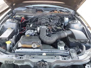 2010 Ford Mustang V6 с VIN 1ZVBP8AN6A5157773, выставлен на аукционе IAAI как лот 41921156 с пробегом 118 549 миль миль и . История ставок и продаж доступна на DreamBid. Изображение 10.