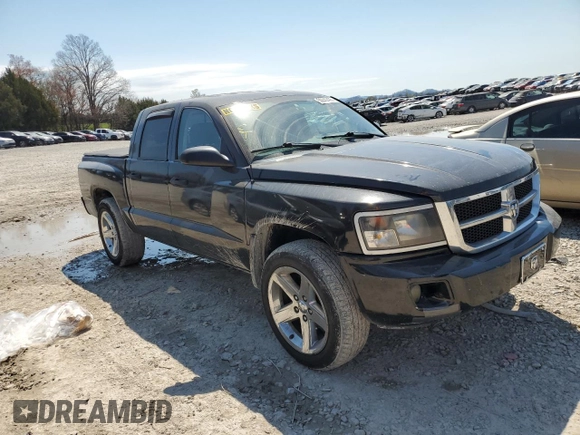 2008 Dodge Dakota Bighorn/Lonestar z VIN 1D7HE38K18S621586, wystawiony jako Copart lot #50842495 z przebiegiem 230 002 mil mil oraz Szkoda całkowita • Salvage title. Historia ofert i sprzedaży dostępna na DreamBid. Obrazek 4.