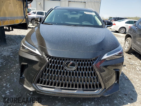 2025 Lexus NX 350 Premium with VIN 2T2GGCEZ1SC073837, listed as a Copart auction lot 53096925 with 304 mi miles and Salvage title. Bid and sale history available at DreamBid. Image 5.