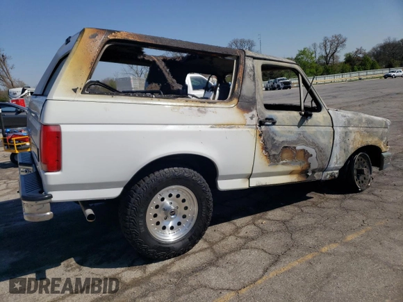 1993 Ford Bronco Custom with VIN 1FMEU15H2PLA02559, listed as a Copart auction lot 53319455 with Not Provided miles and Non Repairable. Bid and sale history available at DreamBid. Image 3.