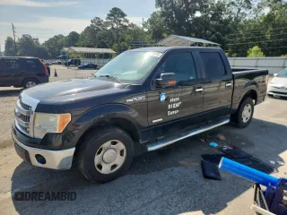 2013 Ford F-150 XL with VIN 1FTFW1CT0DFD44726, listed as a Copart auction lot 64210765 with 301,477 mi miles and Clean title. Bid and sale history available at DreamBid. Image 1.