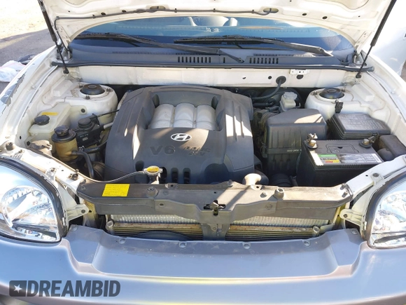 2002 Hyundai Santa Fe GLS with VIN KM8SC73D82U294374, listed as a IAAI auction lot 41204011 with 179,219 mi miles. Bid and sale history available at carsss.com. Image 10.