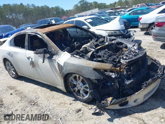 2014 Nissan Maxima S with VIN 1N4AA5AP1EC445241, listed as a IAAI auction lot 41877428 with Not provided miles and . Bid and sale history available at DreamBid. Image 1.