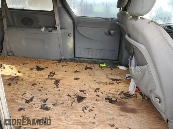 2005 Dodge Caravan with VIN 1D4GP24R25B197329, listed as a Copart auction lot 52169725 with 0 mi miles and Non Repairable. Bid and sale history available at carsss.com. Image 11.