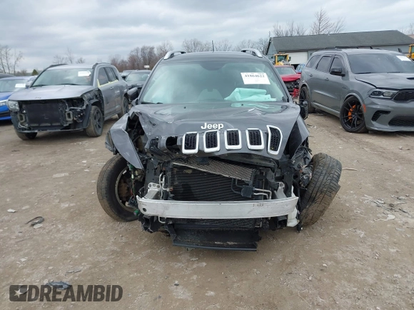 2015 Jeep Cherokee Limited with VIN 1C4PJMDS5FW587879, listed as a IAAI auction lot 41864622 with 143,843 mi miles. Bid and sale history available at carsss.com. Image 13.
