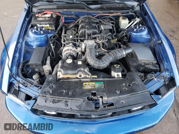 2006 Ford Mustang Standard with VIN 1ZVFT80N065228777, listed as a Copart auction lot 42542475 with 183,337 mi miles and Salvage Title. Bid and sale history available at carsss.com. Image 11.