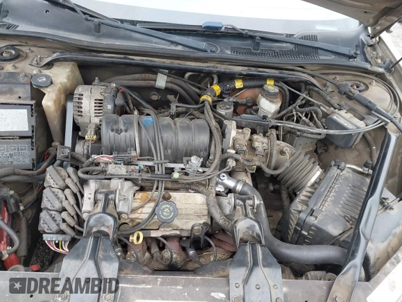 2003 Chevrolet Impala LS with VIN 2G1WH52K239353096, listed as a IAAI auction lot 41890556 with 149,065 mi miles and . Bid and sale history available at DreamBid. Image 10.