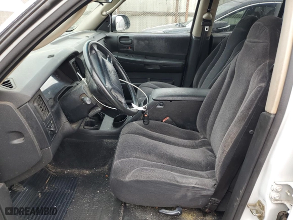 2002 Dodge Dakota SLT with VIN 1B7HL48NX2S638927, listed as a Copart auction lot 49182285 with 376,546 mi miles and Salvage Title. Bid and sale history available at carsss.com. Image 7.