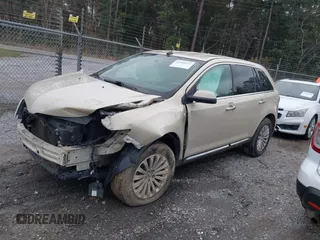 2014 Lincoln MKX with VIN 2LMDJ6JK6EBL06238, listed as a IAAI auction lot 41604943 with 188,639 mi miles. Bid and sale history available at carsss.com. Image 17.