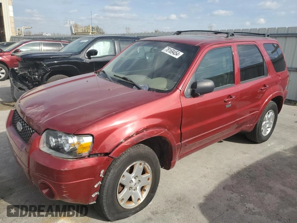 2007 Ford Escape Limited with VIN 1FMCU04117KA67060, listed as a Copart auction lot 78169454 with 134,663 mi miles and Salvage title. Bid and sale history available at DreamBid. Image 1.