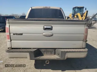 2010 Ford F-150 XL with VIN 1FTEW1C82AFD04120, listed as a Copart auction lot 48870955 with 209,719 mi miles and Salvage Title. Bid and sale history available at carsss.com. Image 6.