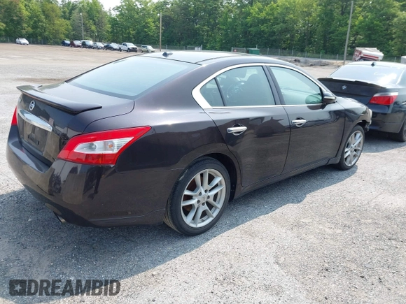 2010 Nissan Maxima SV with VIN 1N4AA5AP1AC872882, listed as a IAAI auction lot 42436283 with Not provided miles and . Bid and sale history available at DreamBid. Image 4.