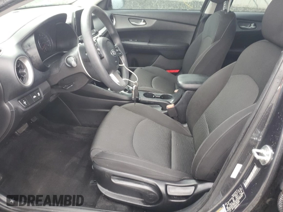 2019 Kia Forte LXS with VIN 3KPF24AD9KE103098, listed as a Copart auction lot 55663545 with 110,378 mi miles and Salvage title. Bid and sale history available at DreamBid. Image 7.