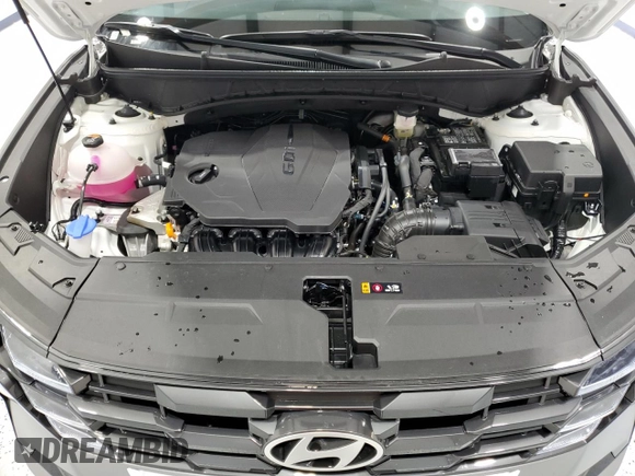 2025 Hyundai Tucson SEL with VIN 5NMJB3DE5SH493392, listed as a Copart auction lot 54365465 with 6,275 mi miles and Clean Title. Bid and sale history available at DreamBid. Image 12.