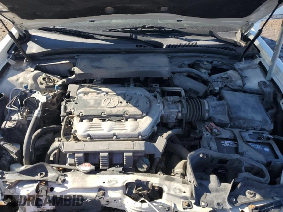 2010 Acura TL with VIN 19UUA8F29AA002638, listed as a Copart auction lot 42782675 with 206,340 mi miles and Salvage Title. Bid and sale history available at carsss.com. Image 11.