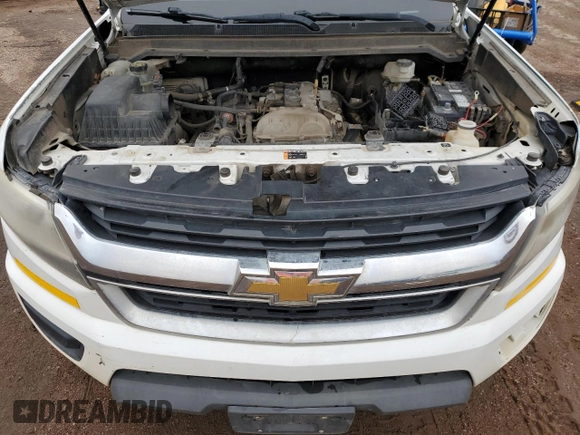 2015 Chevrolet Colorado 4WD WT with VIN 1GCHTAEA8F1184138, listed as a Copart auction lot 66979894 with Not Provided miles and Clean Title. Bid and sale history available at DreamBid. Image 11.