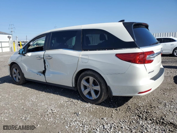 2019 Honda Odyssey EX-L with VIN 5FNRL6H76KB058458, listed as a Copart auction lot 51737815 with 39,828 mi miles and Salvage Title. Bid and sale history available at carsss.com. Image 2.
