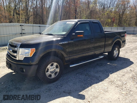 2013 Ford F-150 XL with VIN 1FTFX1EF4DFB87061, listed as a Copart auction lot 55293955 with 204,468 mi miles and Clean Title. Bid and sale history available at carsss.com. Image 1.
