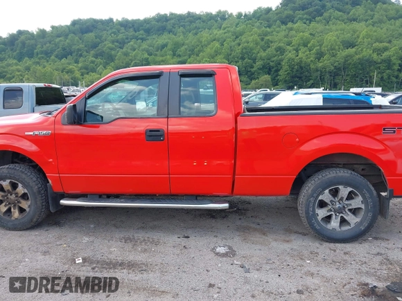 2013 Ford F-150 XL with VIN 1FTFX1EF7DFC10994, listed as a IAAI auction lot 42435310 with 176,204 mi miles and . Bid and sale history available at DreamBid. Image 14.