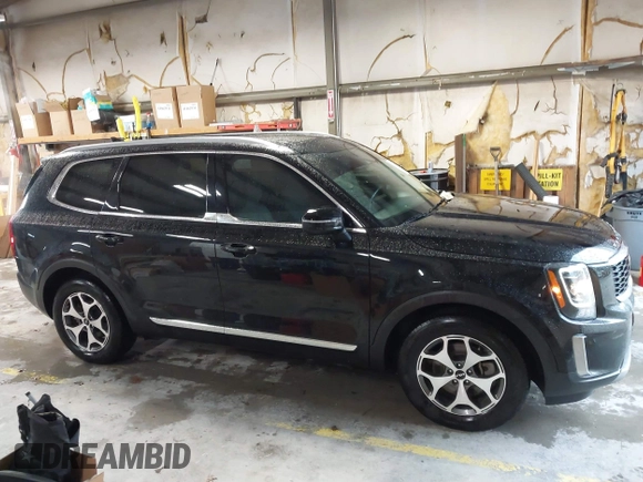 2022 Kia Telluride EX z VIN 5XYP34HC3NG202537, wystawiony jako IAAI lot #41909254 z przebiegiem 52 832 mil mil oraz . Historia ofert i sprzedaży dostępna na DreamBid. Obrazek 13.