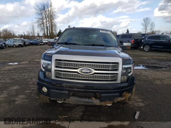 2010 Ford F-150 XL with VIN 1FTFW1EV8AFD18983, listed as a Copart auction lot 47315985 with 212,799 mi miles and Salvage Title. Bid and sale history available at carsss.com. Image 5.