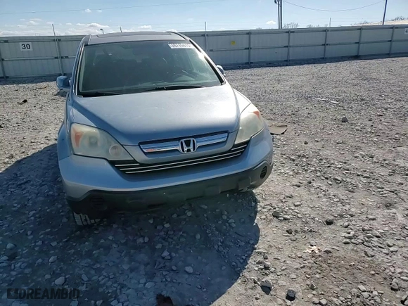 2009 Honda CR-V EX-L with VIN 5J6RE38799L032740, listed as a Copart auction lot 46740615 with 168,768 mi miles and Salvage Title. Bid and sale history available at carsss.com. Image 11.