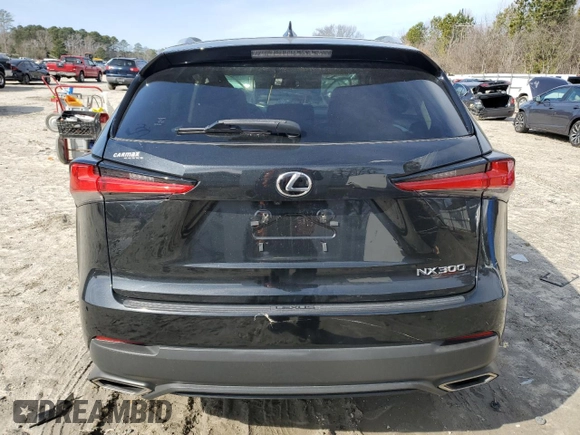2019 Lexus NX with VIN JTJYARBZ3K2125126, listed as a Copart auction lot 45105175 with 93,509 mi miles and Salvage Title. Bid and sale history available at carsss.com. Image 6.