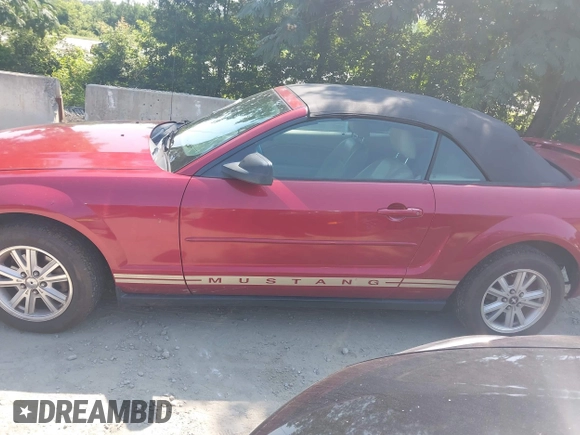2006 Ford Mustang Standard with VIN 1ZVFT84N865222011, listed as a IAAI auction lot 42523400 with 234,756 mi miles and . Bid and sale history available at DreamBid. Image 14.