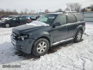 2009 Ford Escape Limited with VIN 1FMCU04739KA74969, listed as a Copart auction lot 45250915 with 125,153 mi miles and Salvage Title. Bid and sale history available at carsss.com. Image 1.