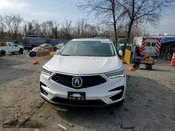 2019 Acura RDX with VIN 5J8TC2H32KL032854, listed as a Copart auction lot 49135305 with 52,156 mi miles and Salvage Title. Bid and sale history available at carsss.com. Image 12.