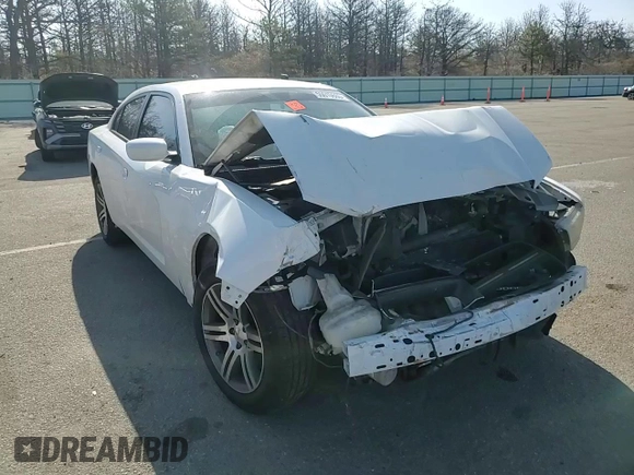 2013 Dodge Charger Police z VIN 2C3CDXAG3DH521581, wystawiony jako Copart lot #55010665 z przebiegiem 112 654 mil mil oraz Szkoda całkowita • Salvage title. Historia ofert i sprzedaży dostępna na DreamBid. Obrazek 14.