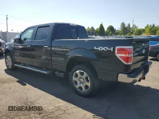 2010 Ford F-150 XL with VIN 1FTFW1EV9AFA31023, listed as a Copart auction lot 65806495 with 192,985 mi miles and Clean title. Bid and sale history available at DreamBid. Image 2.