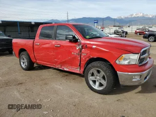 2010 Dodge 1500 SLT with VIN 1D7RV1CT7AS145617, listed as a Copart auction lot 50730865 with 194,183 mi miles and Salvage Title. Bid and sale history available at DreamBid. Image 4.