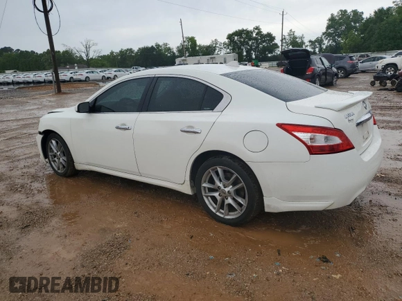 2010 Nissan Maxima S with VIN 1N4AA5AP0AC803438, listed as a Copart auction lot 56127025 with 189,922 mi miles and Salvage title. Bid and sale history available at DreamBid. Image 2.