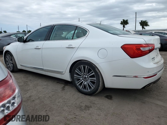 2014 Kia Cadenza Premium with VIN KNALN4D77E5145038, listed as a Copart auction lot 75134194 with 0 mi miles and Salvage Title. Bid and sale history available at carsss.com. Image 2.