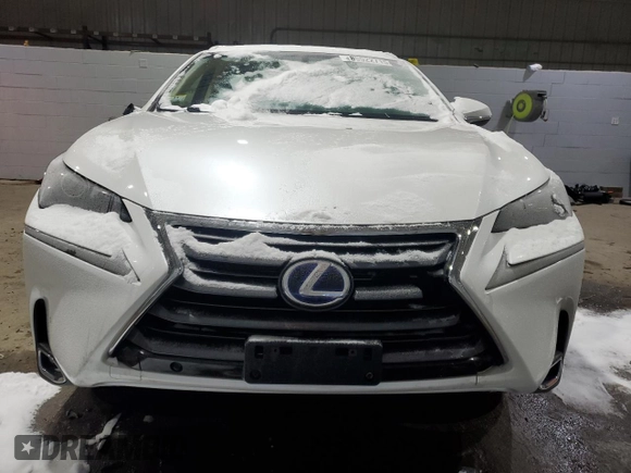 2017 Lexus NX 300h with VIN JTJBJRBZ6H2065065, listed as a Copart auction lot 88022715 with 169,450 mi miles and Salvage Title. Bid and sale history available at DreamBid. Image 5.