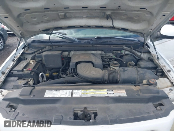 1998 Ford Expedition XLT with VIN 1FMRU17L6WLB26352, listed as a IAAI auction lot 42713980 with 209,454 mi miles and . Bid and sale history available at DreamBid. Image 10.