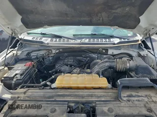 2017 Ford F-150 XL with VIN 1FTEX1C80HKC55899, listed as a IAAI auction lot 42714227 with 224,584 mi miles and . Bid and sale history available at DreamBid. Image 32.