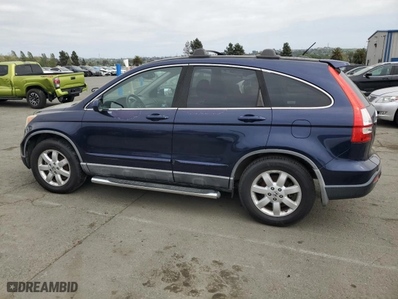 2009 Honda CR-V EX-L with VIN 5J6RE387X9L011573, listed as a Copart auction lot 53326015 with 141,115 mi miles and Clean Title. Bid and sale history available at carsss.com. Image 2.