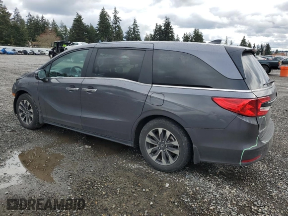 2024 Honda Odyssey EX-L with VIN 5FNRL6H66RB007026, listed as a Copart auction lot 51285525 with 22,382 mi miles and Salvage Title. Bid and sale history available at DreamBid. Image 2.