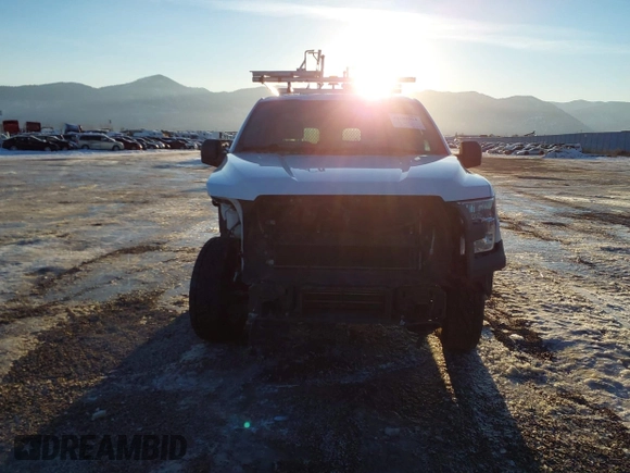 2017 Ford F-150 XL with VIN 1FTMF1EP5HKE54269, listed as a IAAI auction lot 41282914 with 92,569 mi miles and . Bid and sale history available at DreamBid. Image 12.