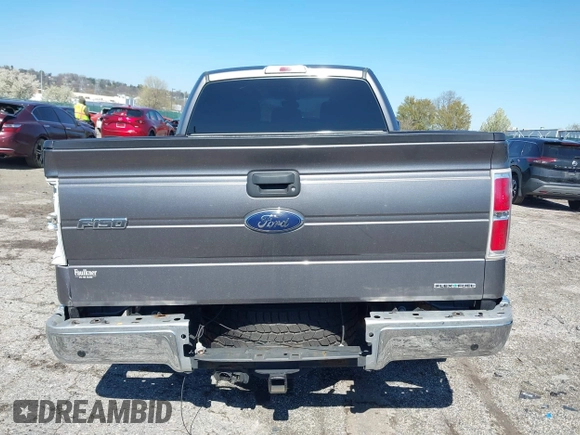 2012 Ford F-150 XL with VIN 1FTFX1EF0CFD08750, listed as a IAAI auction lot 42005442 with 119,380 mi miles. Bid and sale history available at carsss.com. Image 15.