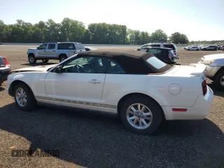 2005 Ford Mustang Deluxe with VIN 1ZVFT84N755194037, listed as a Copart auction lot 61485405 with Not provided miles and Salvage title. Bid and sale history available at DreamBid. Image 2.