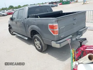 2011 Ford F-150 XL with VIN 1FTEW1CM6BFD08055, listed as a IAAI auction lot 42302966 with 204,167 mi miles and . Bid and sale history available at DreamBid. Image 3.