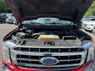 2021 Ford F-150 XL with VIN 1FTFW1E82MFB25873, listed as a Copart auction lot 66046375 with 177,328 mi miles and Clean title. Bid and sale history available at DreamBid. Image 8.