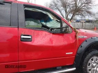 2012 Ford F-150 XL with VIN 1FTFW1ET1CFA18994, listed as a IAAI auction lot 41911367 with 212,883 mi miles. Bid and sale history available at carsss.com. Image 12.