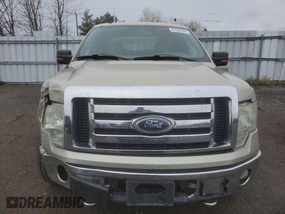 2009 Ford F-150 XL with VIN 1FTRW14869FA71127, listed as a Copart auction lot 81552544 with Not provided miles and Salvage title. Bid and sale history available at DreamBid. Image 5.